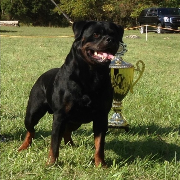 Meet your Posher, Michelle - Picture 2 of 8